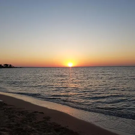 Royal Sun